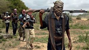 Gunmen Massacre 30, Including Children, in Fresh Kaduna Attack