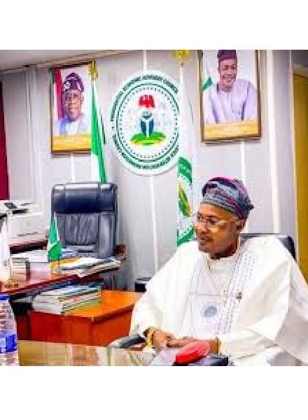 Budget Office Defends PFIPC Budget, Says Council Originated Under Buhari